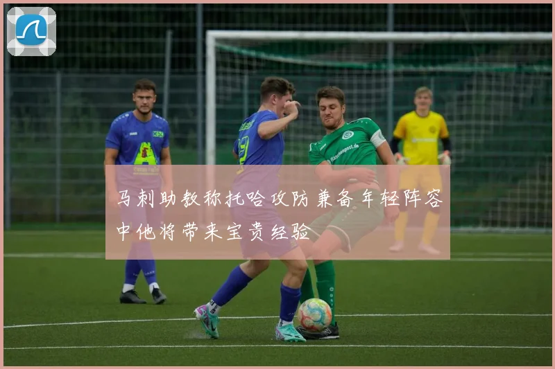 马刺助教称托哈攻防兼备年轻阵容中他将带来宝贵经验